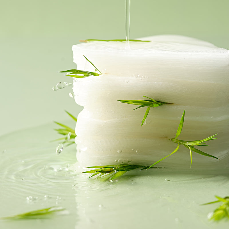 Dr. Ceuracle Tea Tree Purifine Toner Pad
